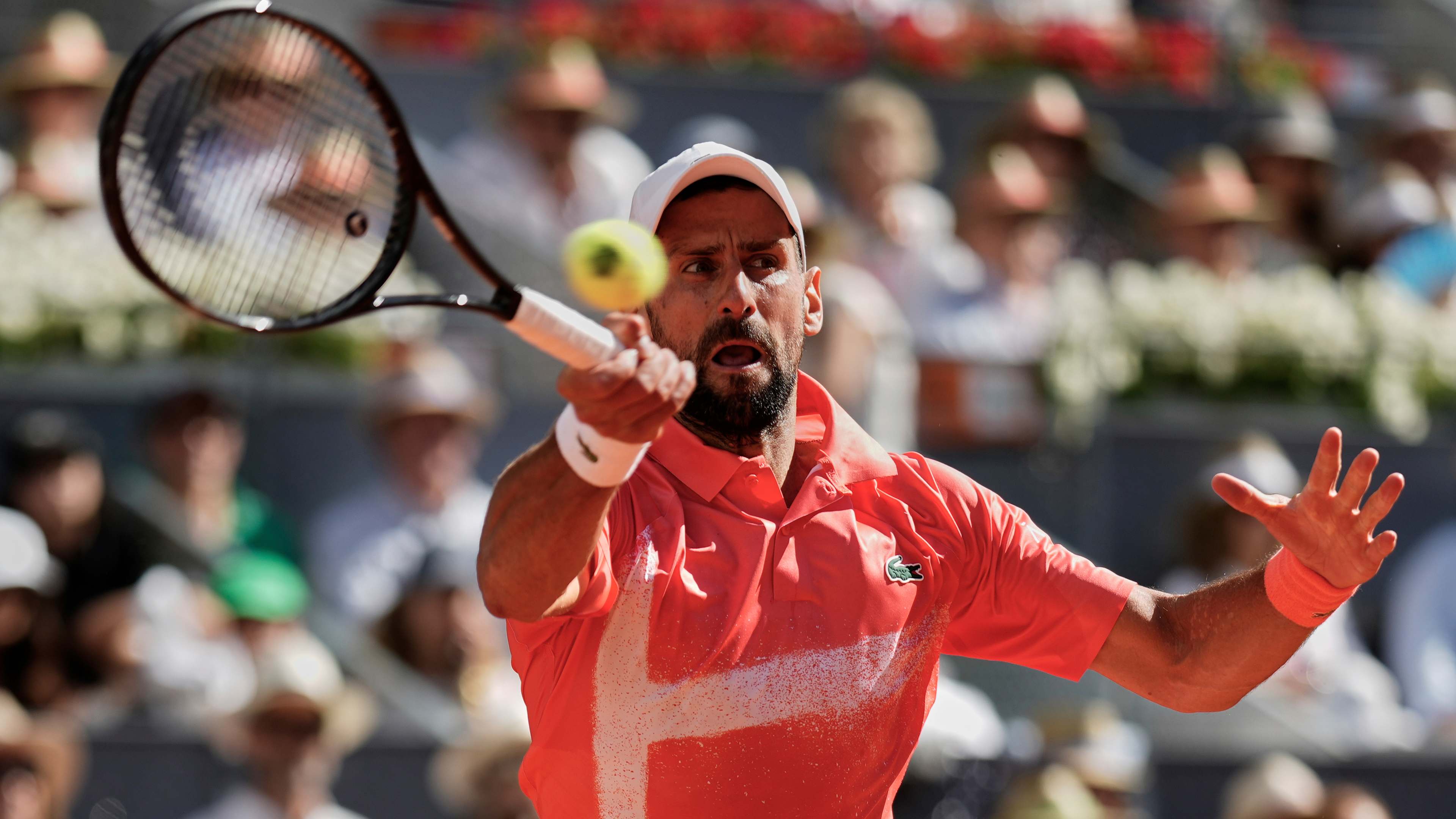 法网绝杀ATP总决赛，德约科维奇刷新纪录