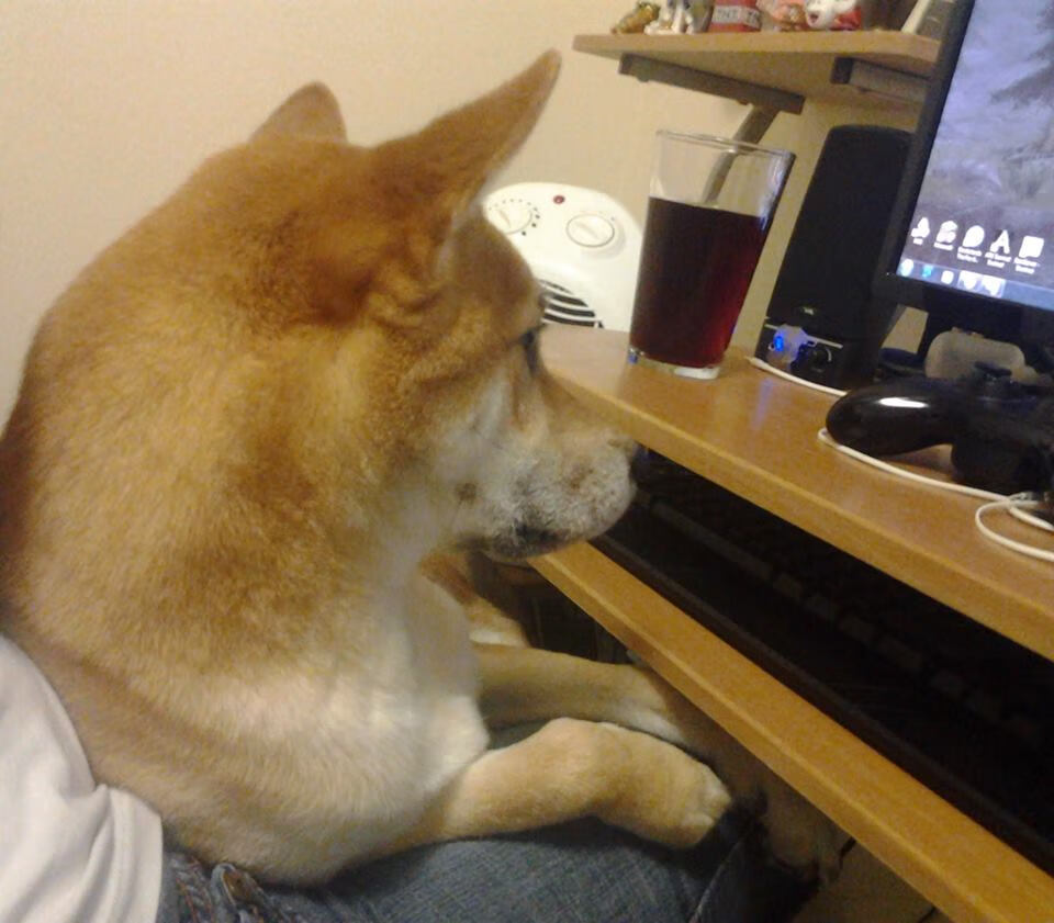 开云体育官网-里昂对阵日本，布鲁诺关键回合不手软，彰显王者风范