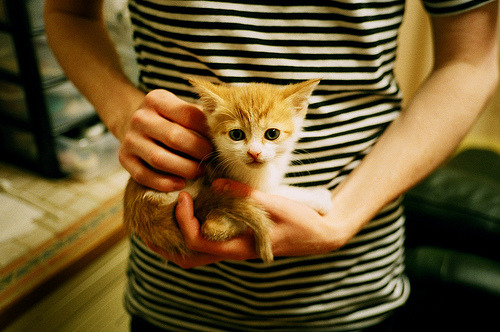 开云平台-绝杀的双重奏，当蒂亚戈的冷静遇见丹麦的狂喜