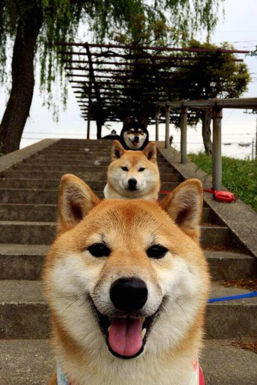 开云体育下载-体系为王？巨星时刻！现代体育的双面美学