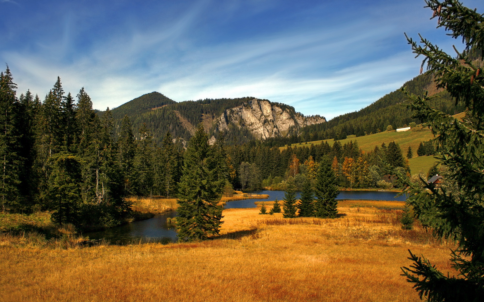 杜兰特化身得分机器，用艺术般的无解进攻让所有防线形同虚设