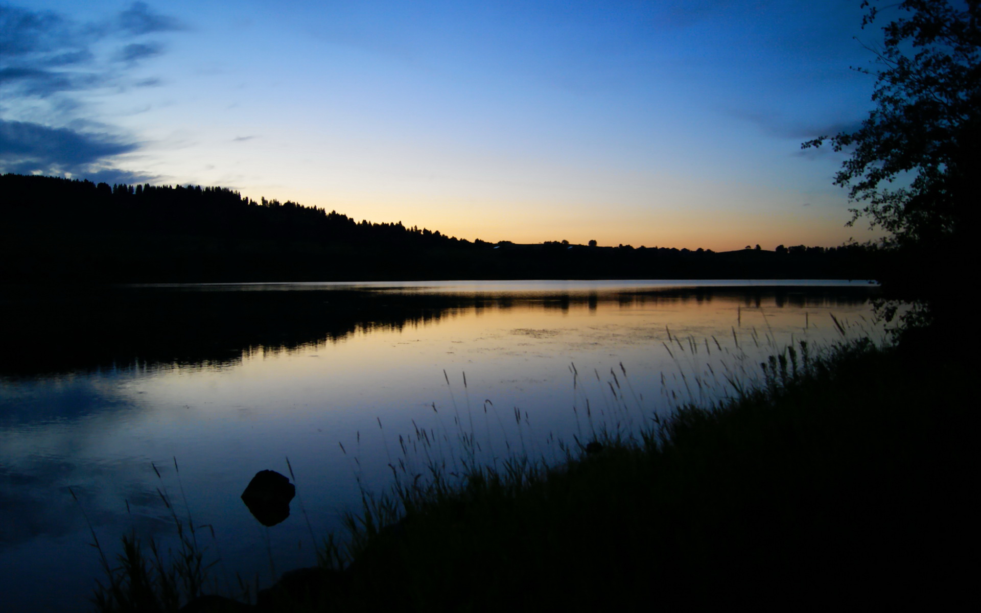 开云体育官网-双赛之夜，德甲争冠的喧嚣与哈利伯顿的接管时刻
