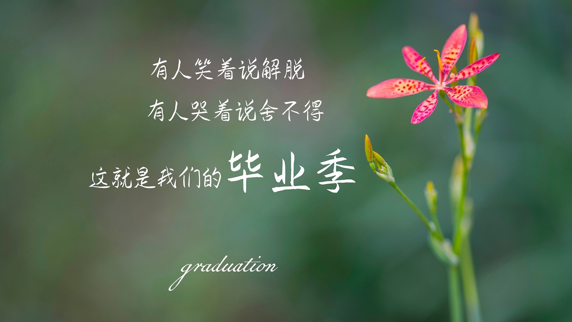 内马尔爆发撕裂防线,摩洛哥战术革命打穿尼日利亚,足球世界的两极启示