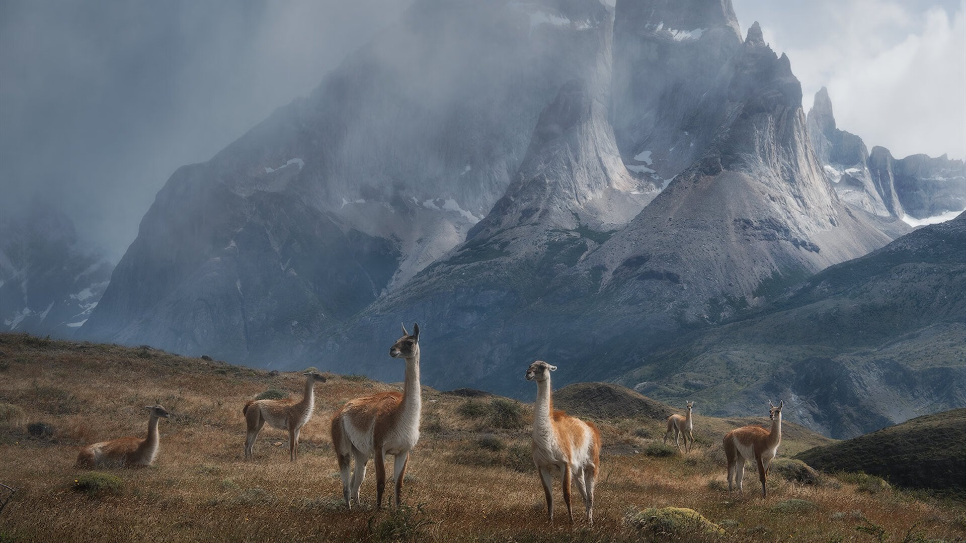 开云体育平台APP-绿茵启示录，从基耶萨的稳定到皇马的翻盘，中国足球需要怎样的不掉线精神？
