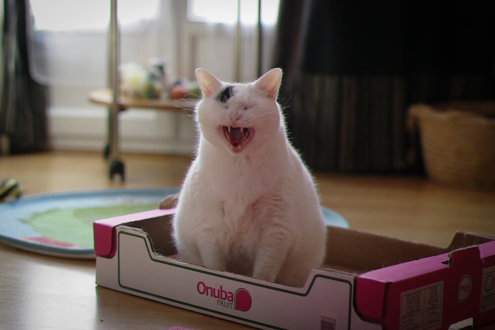 跨界巅峰战,拉梅洛狂砍40分难救主,辽宁队加时绝杀突围公牛