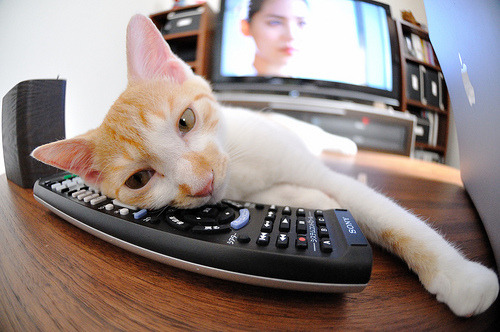 跨越万里的决胜共鸣，火箭鏖战广东与米切尔西甲封神，诠释篮球终极底色