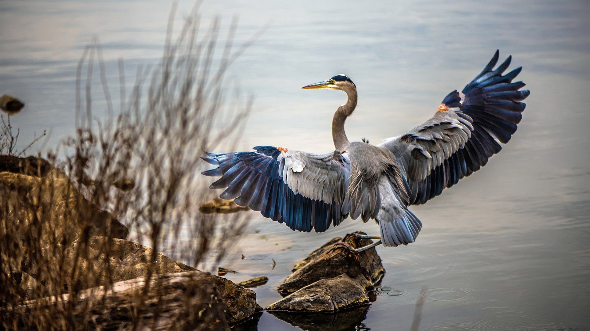 西甲国家德比之夜，恩比德的跨界统治