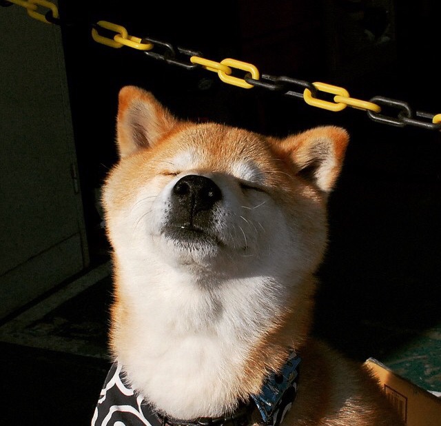 加维爆发引领青春风暴，里昂绝杀上演非洲杯惊天逆转