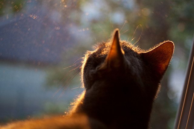 开云体育登录-保罗里程碑之夜点亮季后赛征程，广厦铁血封锁令山西进攻哑火