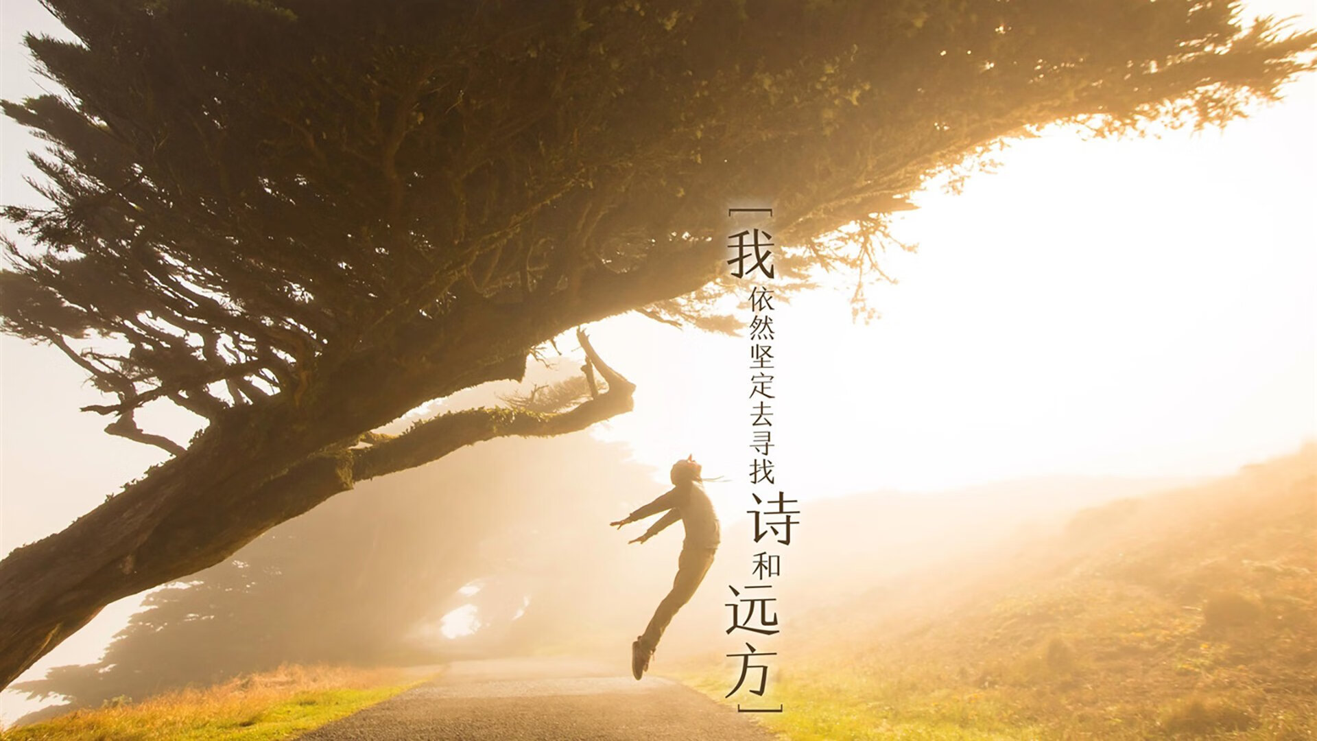 教科书级别的中场艺术，莫德里奇如何定义季后赛抢七之夜