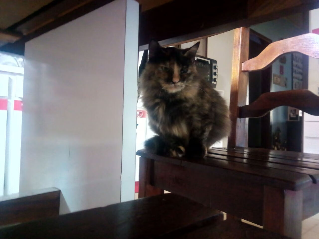 开云体育登录-字母哥完美发挥，浙江队对阵76人展现篮球魅力