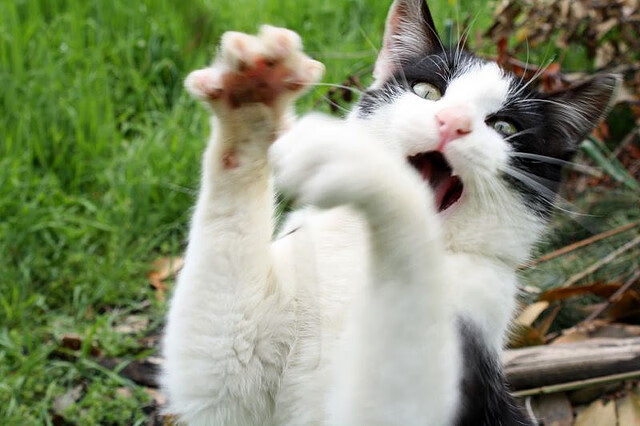 贝恩雷霆万钧击穿勇士，现代篮球的进攻号角已吹响