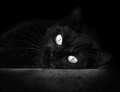 绝境狂舞，欧冠淘汰赛之夜的篮球刺客