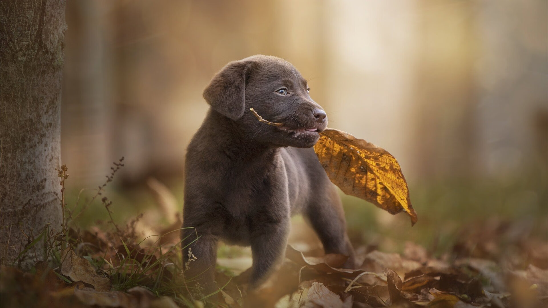 铁血征服！尼克斯踏平王朝余烬，迈阿密的火焰为何骤然熄灭？